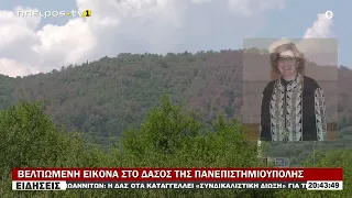 ΒΕΛΤΙΩΜΕΝΗ ΕΙΚΟΝΑ ΣΤΟ ΔΑΣΟΣ ΤΗΣ ΠΑΝΕΠΙΣΤΗΜΙΟΥΠΟΛΗΣ