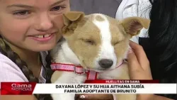 ?? Huellitas en Gama | La historia de Brunito, perrito rescatado y adoptado  /  10-4-2026