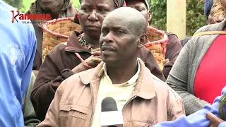 Arimi na atongoria guteta kumana na magoti kihiiri maria mahutitie murimi wa macani