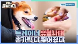 Rookie Ripped Through Gloves? [Dogs Are Incredible:Ep.7-4] | KBS WORLD TV 251230