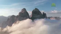 Стихи над миром. Стихотворения Зинаиды Миркиной