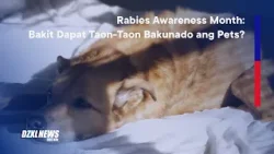Rabies Awareness Month: Bakit Dapat Taon-Taon Bakunado ang Pets? | DZXL News