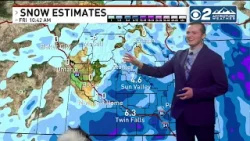 Dog makes surprise cameo during live weather broadcast