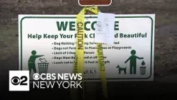 3 people and 2 dogs in Westchester County attacked by a coyote suspected of having rabies