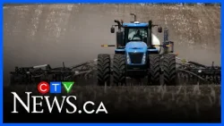 Фермеры утверждают, что война в Иране оказывает «прямое воздействие» на пищевую промышленность.