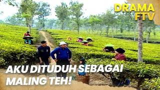 Aku Dituduh Bos Sebagai Maling Teh!  | NENEKKU BUKAN PENCURI TEH | FTV
