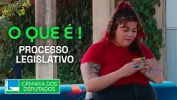 O que é PROCESSO LEGISLATIVO?