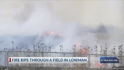 Field fire breaks out in Lowman on Tuesday afternoon