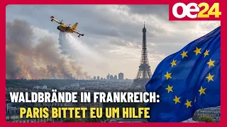 Wildfires in France: Paris asks EU for help