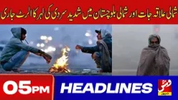 Vsh News | HEADLINES 05 PM | 06 - Jan - 2026