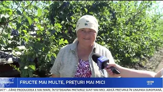 Bumper plum harvest, but farmers struggle to find buyers