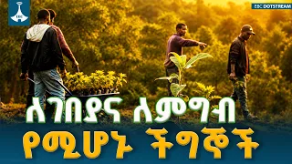 በማዕከላዊ ኢትዮጵያ የአንድ ጀምበር የአረንጓዴ አሻራ ዘመቻ፦ ለምግብና ለገበያ የሚሆኑ ችግኞችን ለመትከል ዝግጅቱ ተጠናቀቀ