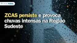ZCAS persiste e provoca chuvas intensas na Região Sudeste | Previsão do tempo | 24h