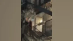 Chicago dance students attacked with liquid outside studio in alleged racist incident