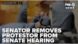 Marine-turned-Senator forcibly removes protestor from hearing