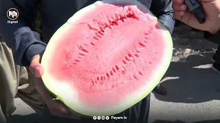 جووتیارانی هەڵەبجە و شارەزوور داوای ڕاگرتنی بەقاچاخهێنانی شووتی دەكەن
