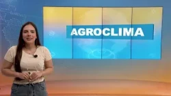 Forecast points to heavy rain in Paraná and instability in other regions of Brazil | 10/14/2026