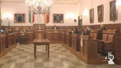 14 votes for the policy guidelines: is the majority cracking?