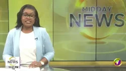 Auditor General Questions Odpem's Data Controls | Midday News