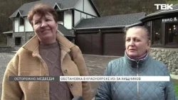 Bears in Krasnoyarsk Krai: what do the locals think?