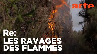 France : le dessous des mégafeux | ARTE Regards