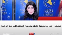 مجلس النواب يصوت على عدد من اللجان النيابية الدائمة