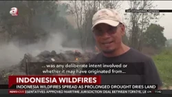 Indonesia Wildfires Spread as Prolonged Drought Dries Land