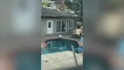 Установлена ​​личность жертвы убийства в Лафайете; всплыла странная публикация в Facebook.