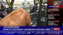 FMD | Plans to vaccinate 14m-strong national herd