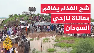 Blue Nile displaced face hunger and aid shortages amid ongoing fighting