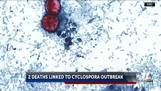 Two deaths linked to Cyclosporiasis in Michigan
