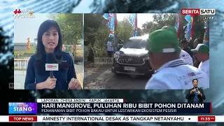 Aksi Hijau Rano Karno di Angke Kapuk: Menjaga Napas Pesisir Jakarta #beritasatu