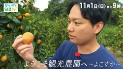 かながわ旬菜ナビ　次回予告（11月1日放送）