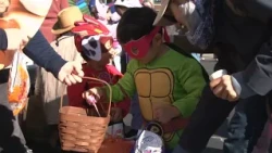 Kids collect Halloween candy early at Amherst trunk or treat event