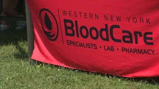 Hundreds gather for bleeding disorder walk, 5-K in Delaware Park