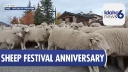 Trailing of the Sheep Festival marks 30 years in the Wood River Valley