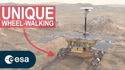 Scouting the Red Planet with ExoMars