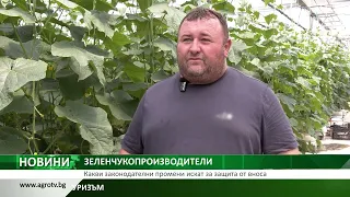 ЗЕЛЕНЧУКОПРОИЗВОДИТЕЛИ: Какви законодателни промени искат за защита от вноса