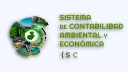 El Banco de Guatemala pone a disposición las Cuentas Verdes de Guatemala