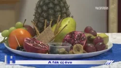 A fák új éve – ZTV Híradó 2026-02-04