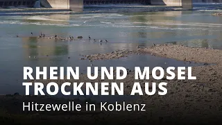 #LowWater in #Koblenz: When the #Rhine and #Mosel run dry