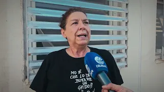 Cani abbandonati, l'estate non è più la stagione regina: "Purtroppo è fenomeno in voga tutto l'anno"