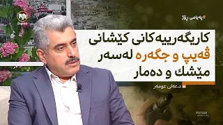 کاریگەرییەکانى کێشانى ڤەیپ و جگەرە لەسەر مێشک و دەمار