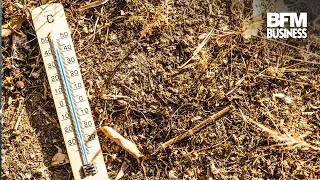 Heatwave: Businesses are holding up