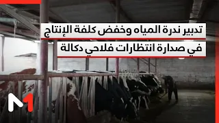 انتخابات مجلس النواب 2026.. تدبير ندرة المياه وخفض كلفة الإنتاج في صدارة انتظارات فلاحي دكالة