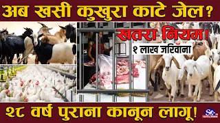सावधान ! काठमाडौंमा मासु काट्दा १ लाख जरिवाना र जेल ? मंसिर १ गतेदेखि लाग्दैछ खतरनाक नियम !