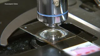 8-year-old dies from rare brain-eating amoeba