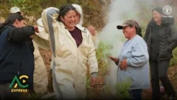 Regional Economies: Potato, Honey, and Citrus Production - Aire De Campo Express