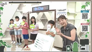 Oh! Cha Time (Let's Go for Tea) August 11 (Tuesday) [Shop Channel]