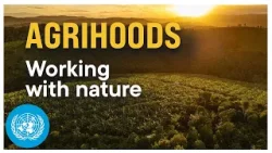 The Neighborhood Design That Could Save the Planet | United Nations